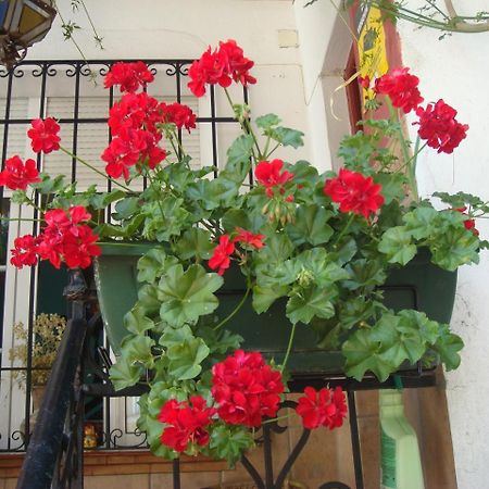 Casa Babylon Backpakers Hostel Malaga Exterior photo